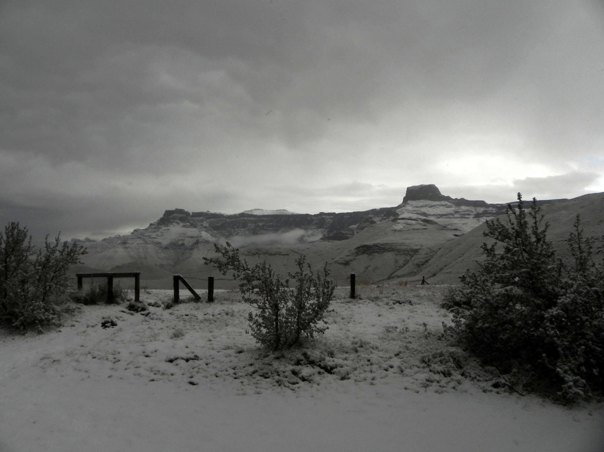 Witsieshoek Mountain Lodge Phuthaditjhaba المظهر الخارجي الصورة